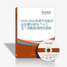 互聯(lián)網(wǎng)+資產(chǎn)評估 2018-2023年市場前景與變革研究